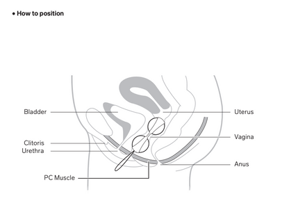 Lelo Beads Plus Kegel Training