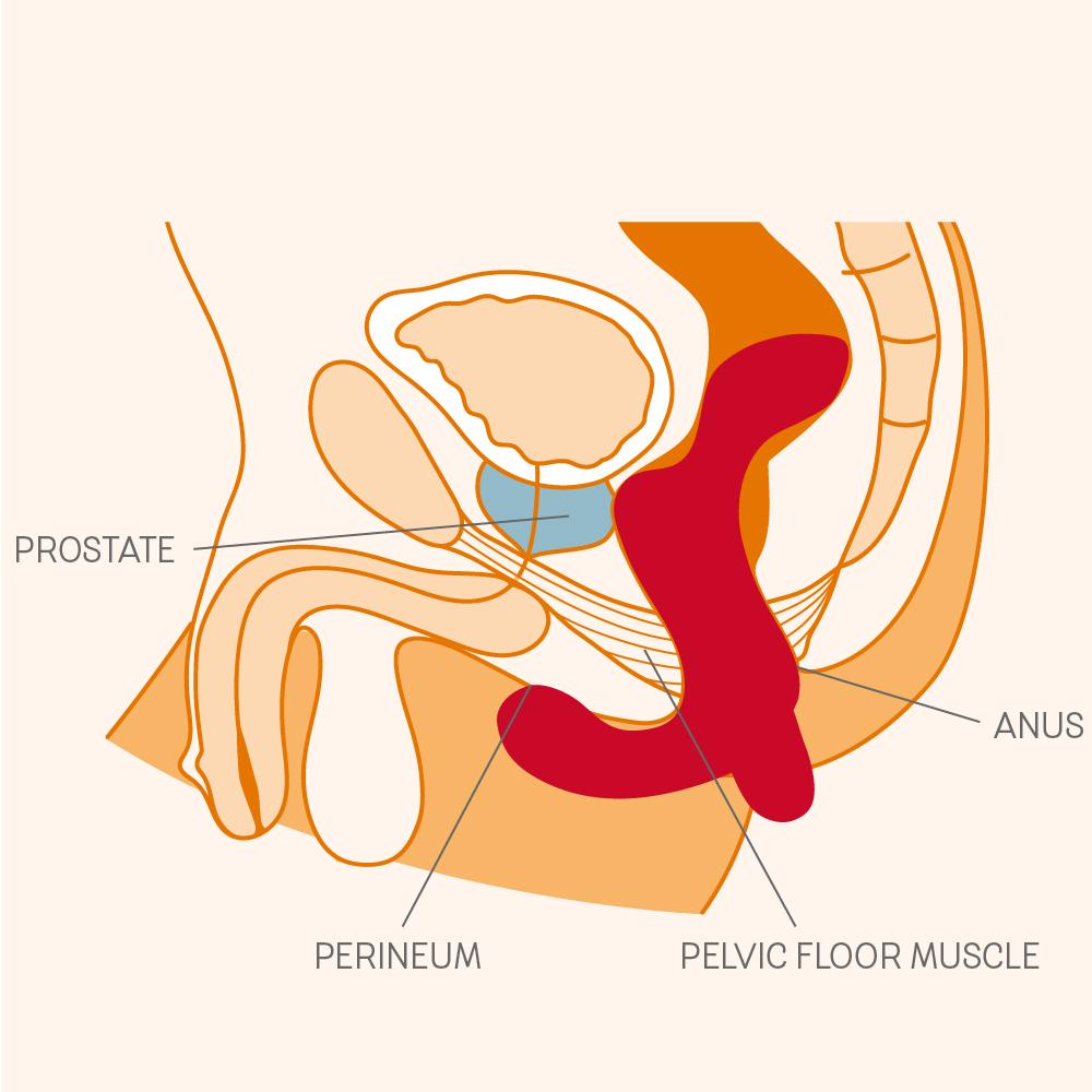 Fun Factory Duke Vibrating Prostate Butt Plug